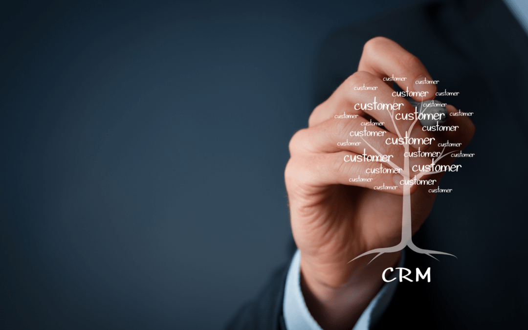 The Evolution of CRM Capability